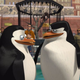 Image for article titled Madagascar
